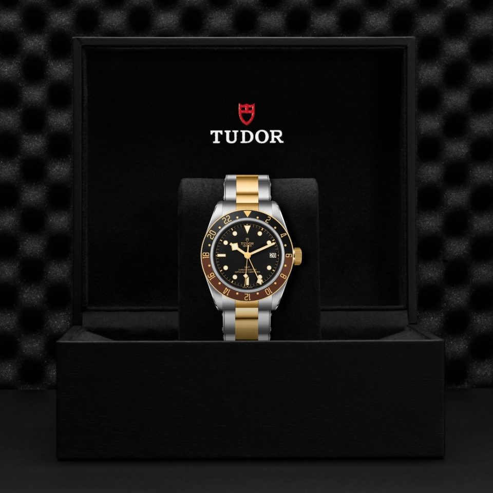 Tudor m79833mn 0001 copia 2