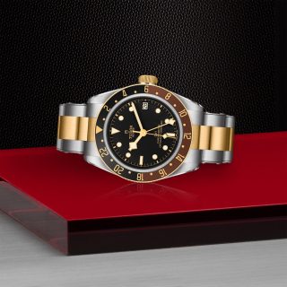 Tudor m79833mn 0001 copia