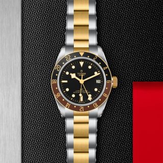 Tudor m79833mn 0001 copia 3