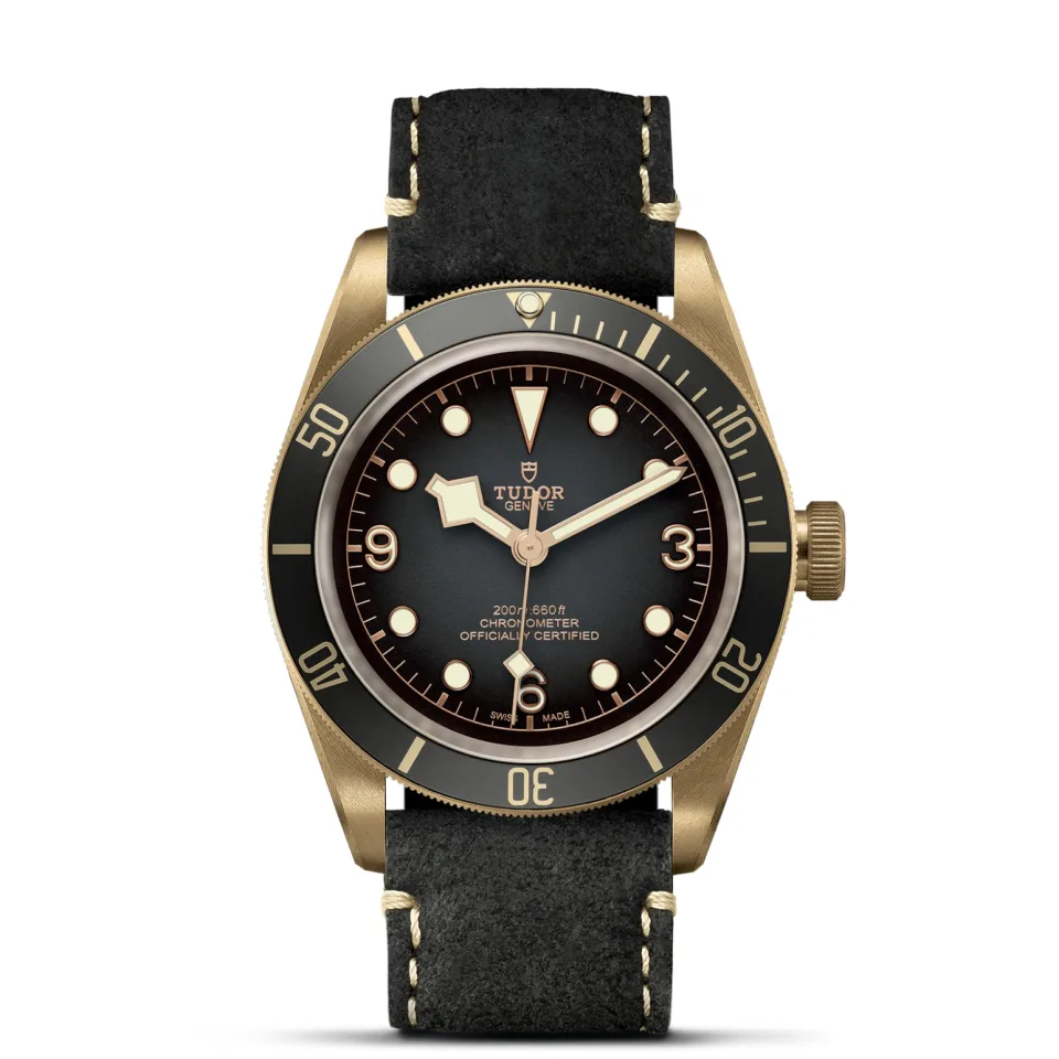 Tudor m79660 0002