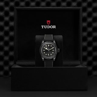 Tudor m79210cnu 0001 copia 3