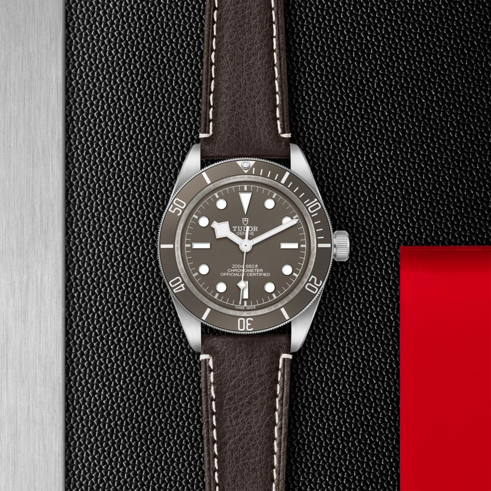 Tudor m79010sg 0001