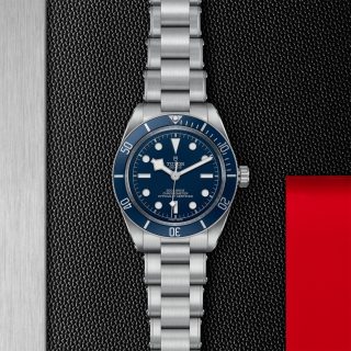Tudor m79030b 0001