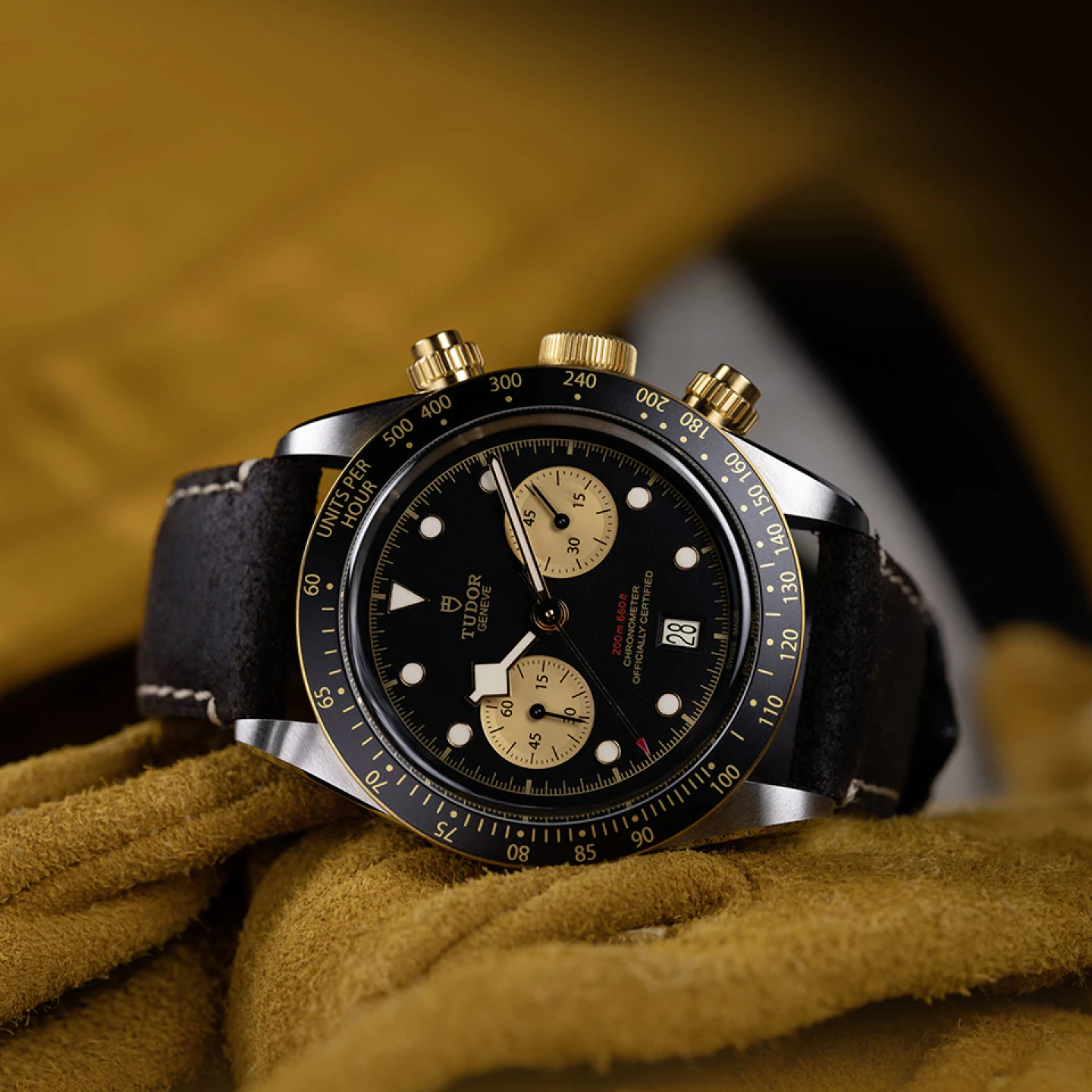 Tudor m79950 0002 1