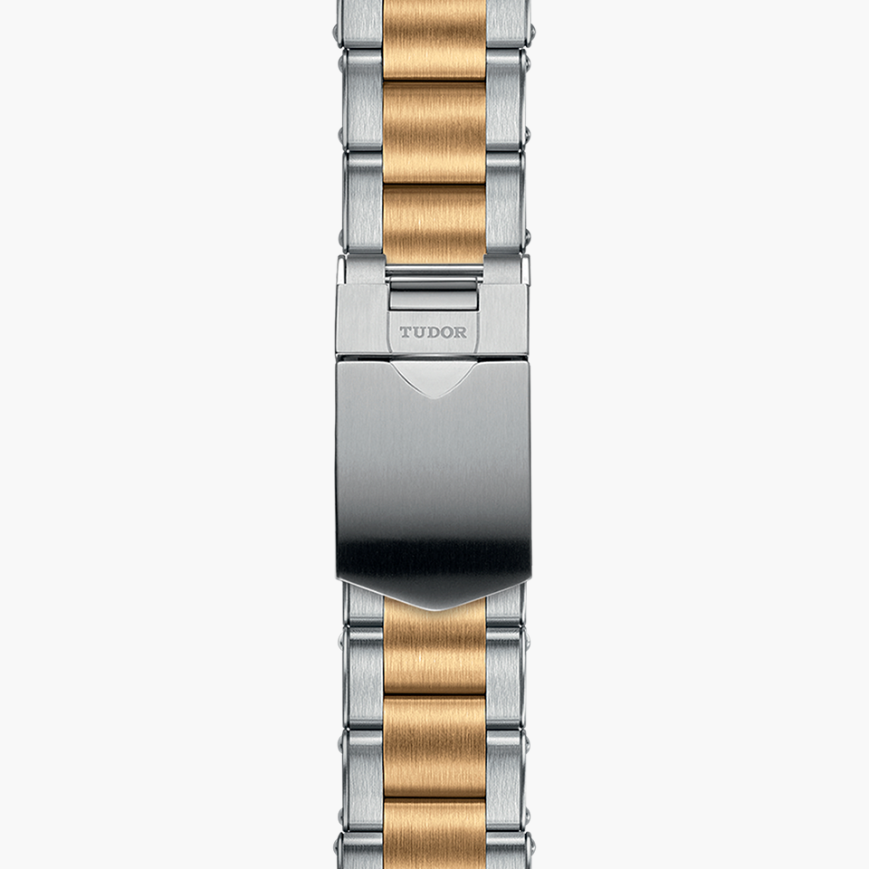 Tudor m79733n 0008 1