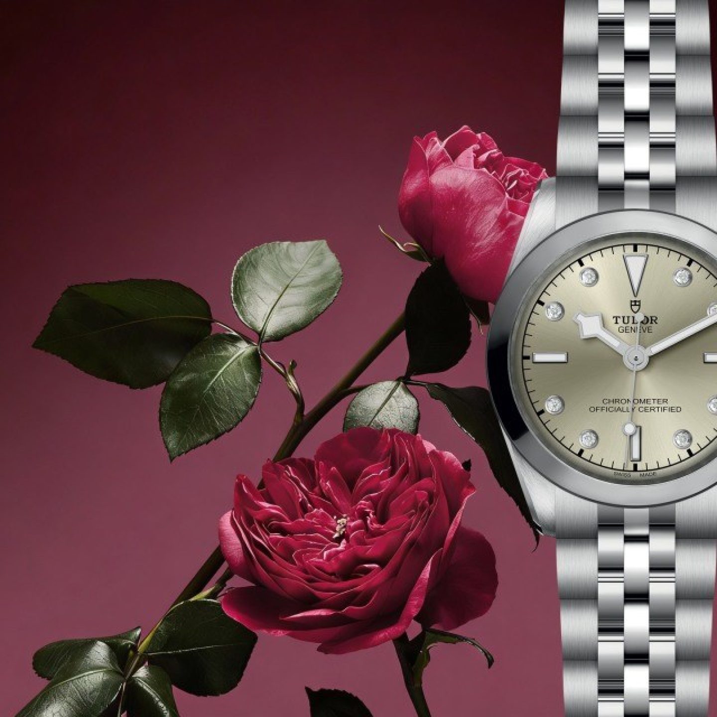 Tudor m79600 0006 640x640