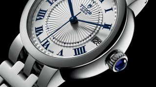 Tudor clair de rose beauty landscape