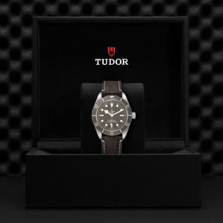 Tudor m79010sg 0001