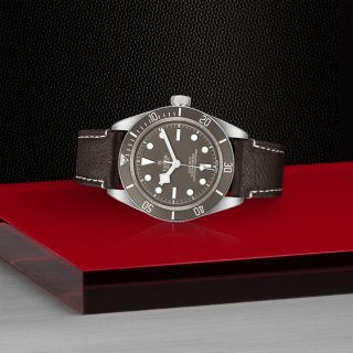 Tudor m79010sg 0001