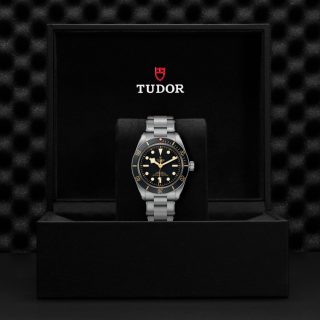 Tudor m79030n 0001