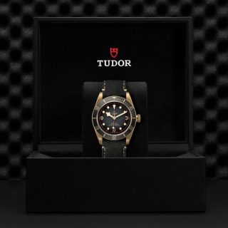 Tudor m79250ba 0001