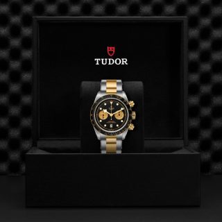 Tudor m79363n 0001