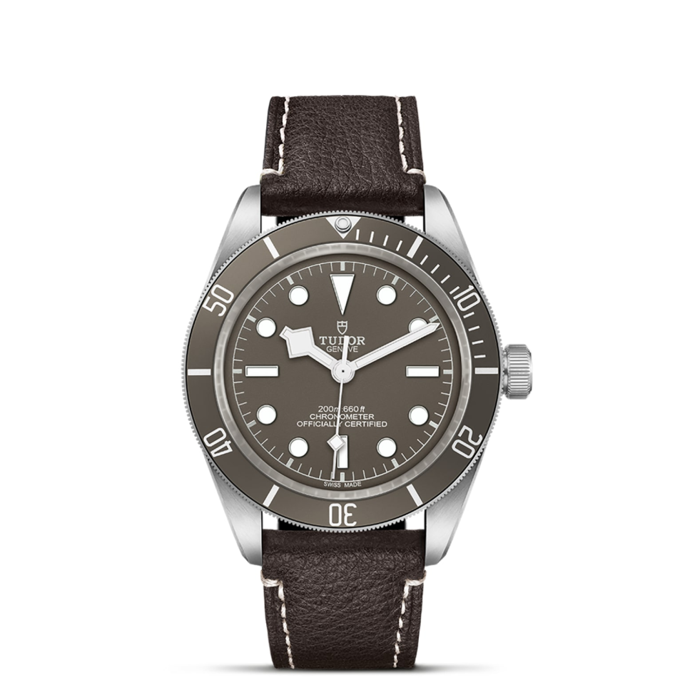 Tudor m79010sg 0001