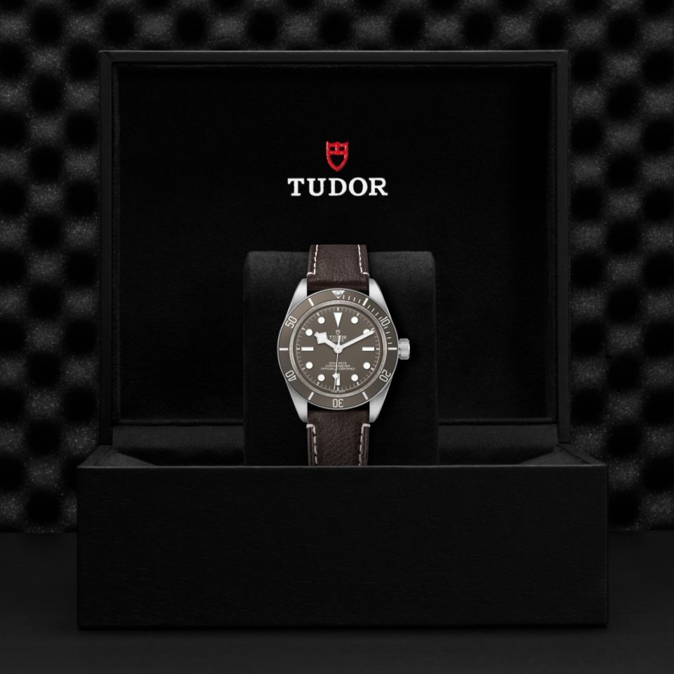 Tudor m79010sg 0001