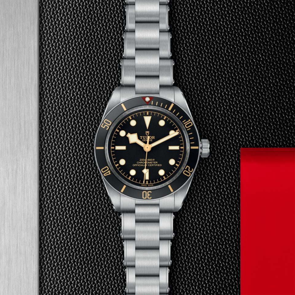 Tudor m79030n 0001