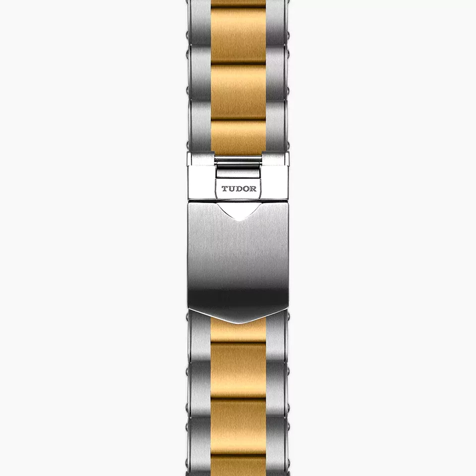 Tudor m79363n 0007 1