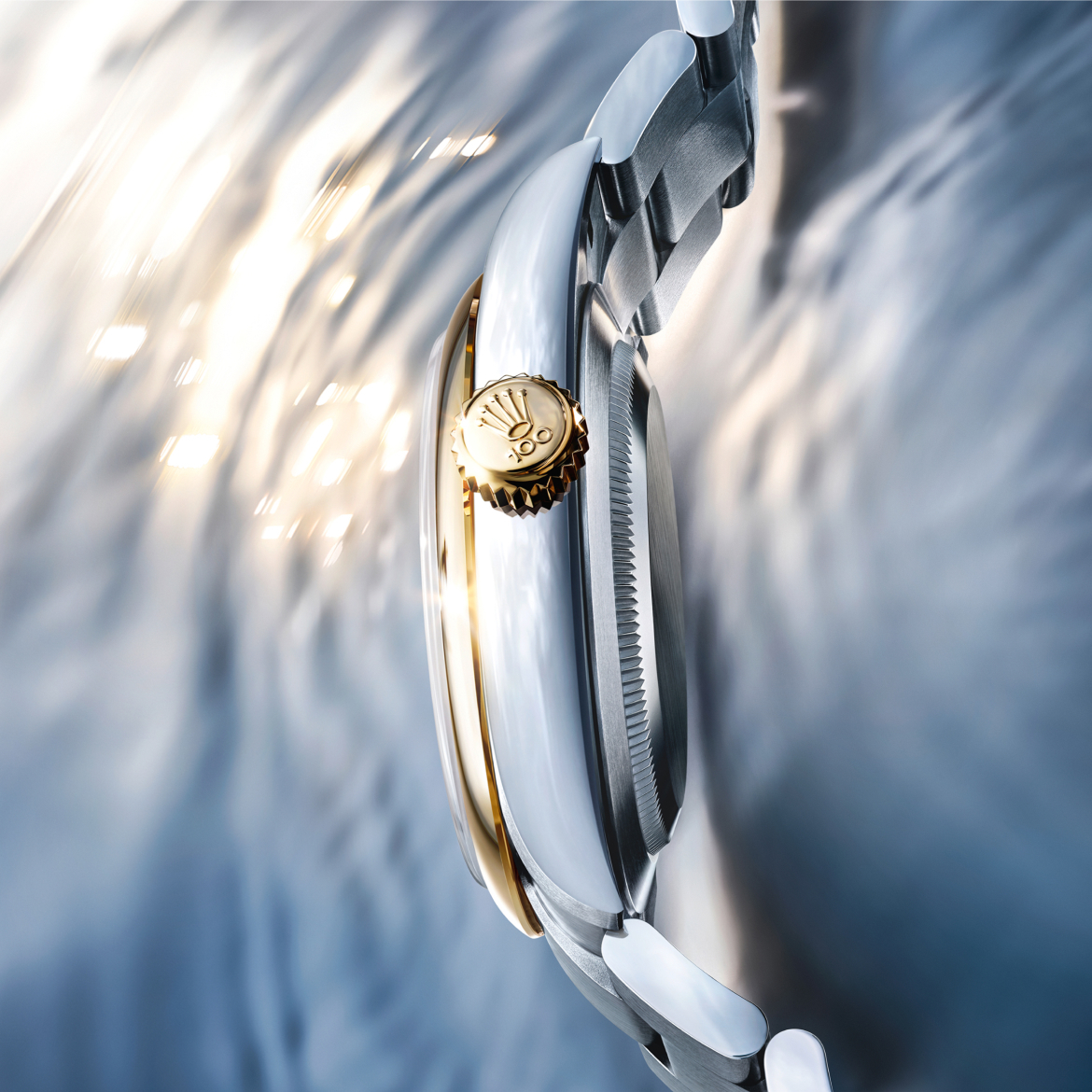 Rolex watches new watches 2026 the oyster perpetual 41 m134303 0001 portrait