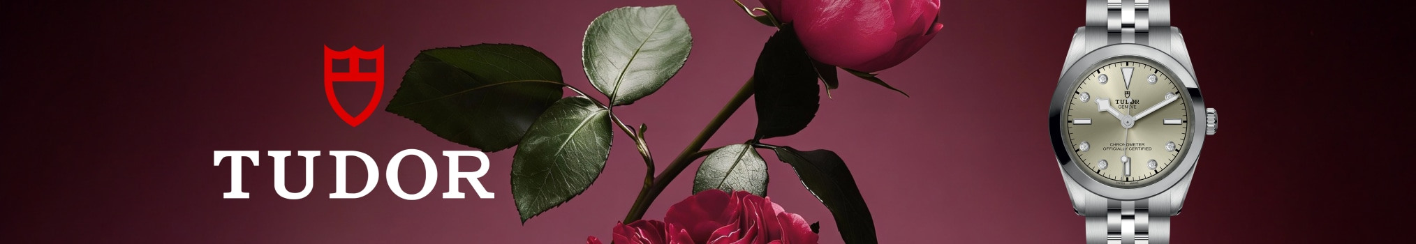 Tudor m79600 0006 2028x350